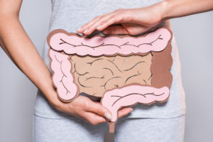 partial view of woman holding paper made large intestine on grey background digestive tract