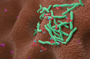 Monoclonal Antibody Therapy for Helicobacter pylori Isometric View 3D Illustration